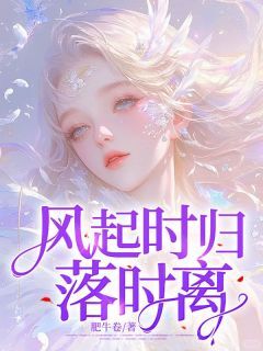 风起时归落时离免费小说作者肥牛卷全文阅读-欧迈阅读网