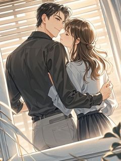 沈庭渊贺姝小说风光怎比她明媚全文阅读