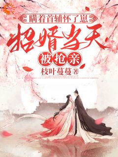 枝叶蔓蔓写的小说瞒着首辅怀了崽，招婿当天被抢亲在线阅读