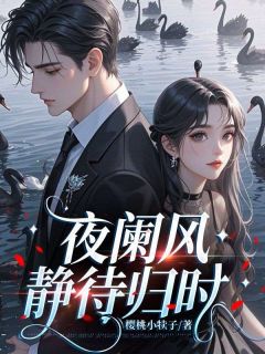 沈知意傅深主角的小说完结版夜阑风静待归时全集-欧迈阅读网