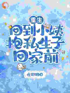 重生，回到小姨抱私生子回家前凤嘉柠陈辉无广告在线阅读
