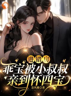 进错房,乖宝被小叔叔亲到怀四宝曲甜甜傅靖霆小说全章节最新阅读