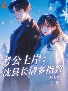 籽籽晴写的小说考公上岸：沈县长请多指教！安岁岁沈延舟全文阅读