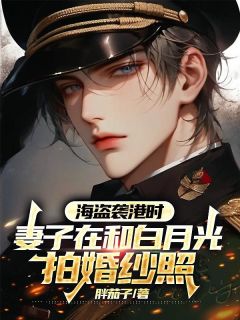 海盗袭港时，妻子在和白月光拍婚纱照小说好看吗 陈子穆傅清岚最后结局如何-欧迈阅读网