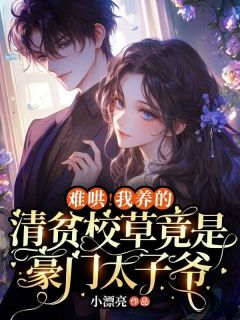 难哄!我养的清贫校草竟是豪门太子爷小说(完整版)-林晚星宋贺书章节阅读