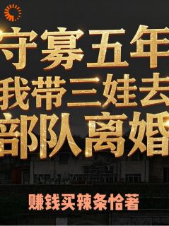 好文热推小说守寡五年：我带三娃去部队离婚主角顾小晴江明全文在线阅读