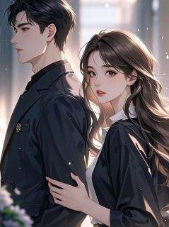 抖音爱意殆尽,随风而散小说章节阅读