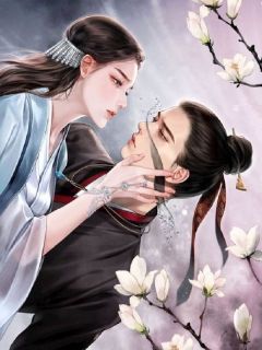 爱恨两茫茫,相思无终期小说最新章节-主角叶栖云陈书岳中全文免费阅读