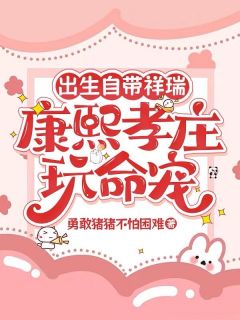 出生自带祥瑞,康熙孝庄玩命宠小说胤祚康熙免费阅读