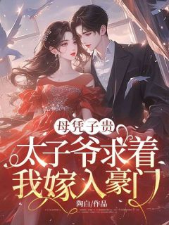 抖音小说母凭子贵:太子爷求着我嫁入豪门主角夏时谢长宴全文小说免费阅读