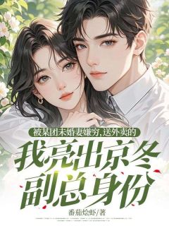 被某团未婚妻嫌穷，送外卖的我亮出京冬副总身份（全本）陆霆州苏见仁完整章节列表免费阅读