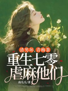 渣男坏，青梅茶，重生七零虐麻他们小说的书名是什么-欧迈阅读网