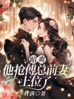 将满的小说暗爽！他抢傅总前妻上位了全文阅读