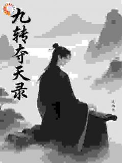 无弹窗小说九转夺天录 作者凤栖梧桐展翅飞