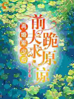 再婚军少后，前夫跪求原谅章节全目录 苏夏江明远全文免费阅读