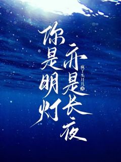 陆漫陆彦舟小说大结局在哪看-你是明灯，亦是长夜完整版免费阅读-欧迈阅读网