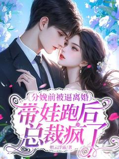 热门推荐分娩前被逼离婚,带娃跑后总裁疯了by朝云浮露小说正版在线-欧迈阅读网