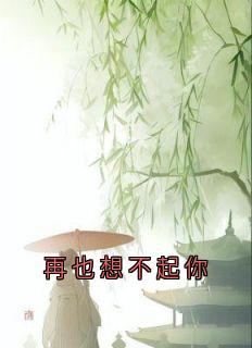 (好书推荐)再也想不起你小说最新章节小说全文阅读