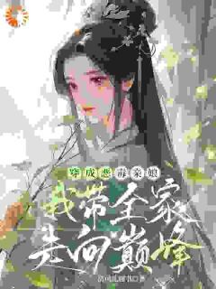 穿成恶毒亲娘，我带全家走向巅峰(清风乱翻书)最佳创作小说全文在线阅读