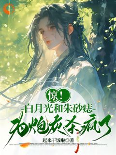 快手热推惊!白月光和朱砂痣为炮灰杀疯了小说主角晏久容钦在线阅读-欧迈阅读网