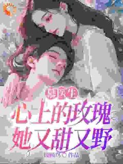 顾顾鸟最新小说慕医生心上的玫瑰她又甜又野顾晓慕南舟在线试读