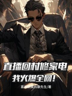 抖音完结直播回村修家电，我火爆全网！陈光傅伦荣(全文在线阅读)-欧迈阅读网