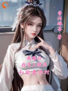 抖音小说离婚后,我当上律师和前妻作对,主角陆玄苏梦月最后结局小说全文免费