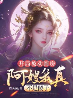 独家开局被动圆房，阿嫂我真不是傻子小说-主角许修年苏乐瑶全文免费阅读