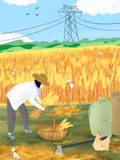 离婚后,他一无所有叶琼枝宋贺远全章节完结版在线阅读