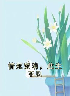 情死爱消，此生不见顾月贺锦萧沈禾-小说txt全文阅读