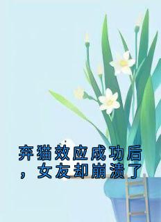 免费完结小说弃猫效应成功后,女友却崩溃了乔妍雪陈安蒋青言无弹窗免费阅读