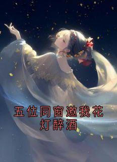 佚名写的小说五位同窗邀我花灯醉酒洛二哥阿言萧三哥全文阅读