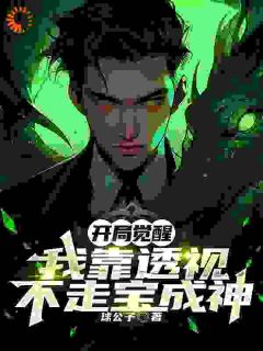 快手热文开局觉醒，我靠透视不走宝成神林墨苏婉清小说推荐-欧迈阅读网