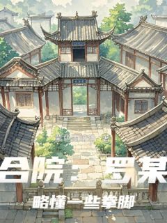 四合院：罗某人略懂一些拳脚罗青易中海-小说未删减阅读