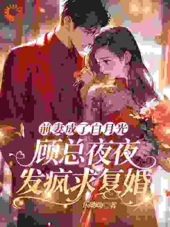 值得熬夜看完的被蓄意报复?大小姐她转身嫁大佬小说阅读