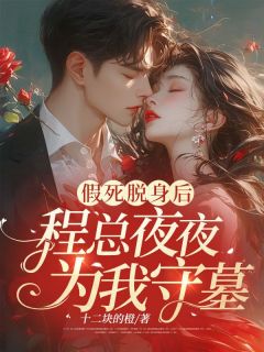 好文热推小说假死脱身后，程总夜夜为我守墓！主角苏晚程北枭全文在线阅读