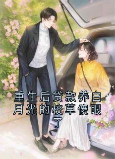 抖音沈初宜江亦林只只小说叫什么名字