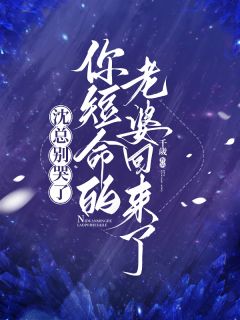 沈总别哭了,你短命的老婆回来了(全章节)-唐糖沈仲庭在线阅读