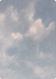 霍浩傅星辰日月星辰照古今小说完整版