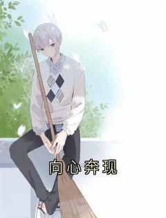 向心奔现苏晚江让无广告在线阅读