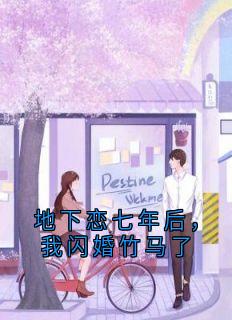 书荒必备地下恋七年后,我闪婚竹马了全文章节阅读