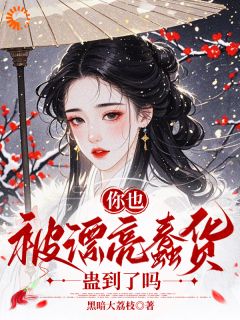 无弹窗小说修仙界的笨蛋美人，被疯批男疯抢 作者黑暗大荔枝