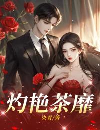 灼艳茶靡林云华苏麒安大结局小说全章节阅读