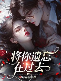 无广告小说将你遗忘在过去-陆迟孟听岚在线阅读