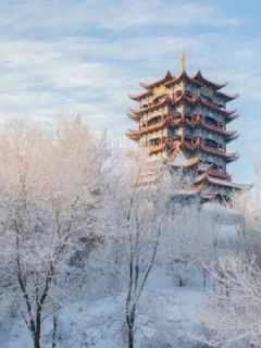 爆款小说此情不可待在线阅读-陈念小蓉免费阅读