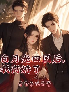 白月光回国后，我离婚了（乔沐安赵思衡）精彩小说目录阅读