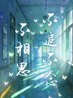 高质量小说不追不念不相思在线试读