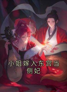主角是沈清赵长风樱儿炎儿的小说叫什么小姐嫁入东宫当侧妃免费全文阅读