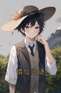 错位追逐沈幼宁陆泽裴言澈全章节目录免费阅读