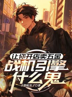让你开店买五金,战机引擎什么鬼(新书)大结局在线阅读-欧迈阅读网